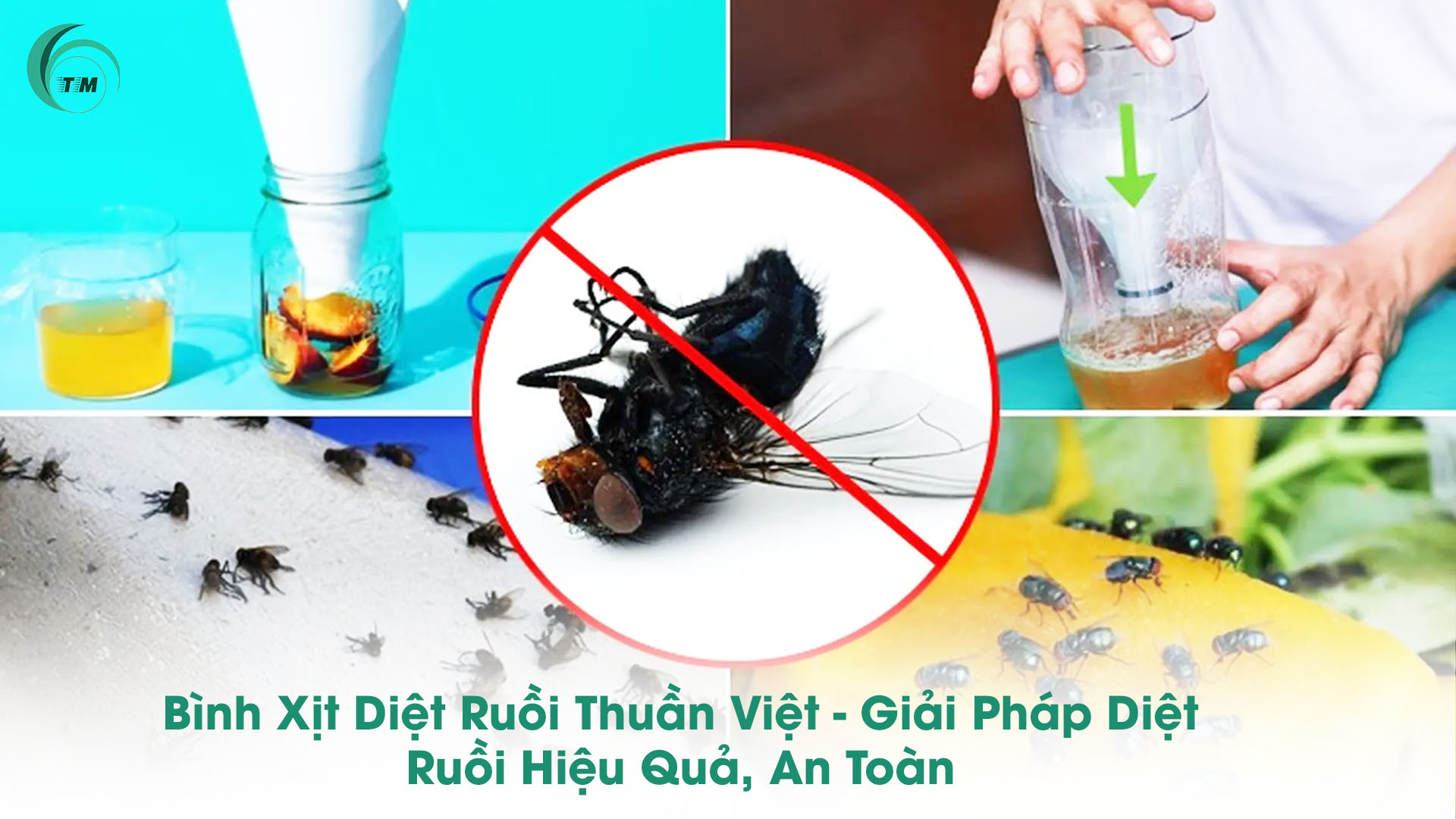 Bình Xịt Diệt Ruồi Thuần Việt - Giải Pháp Diệt Ruồi Hiệu Quả, An Toàn