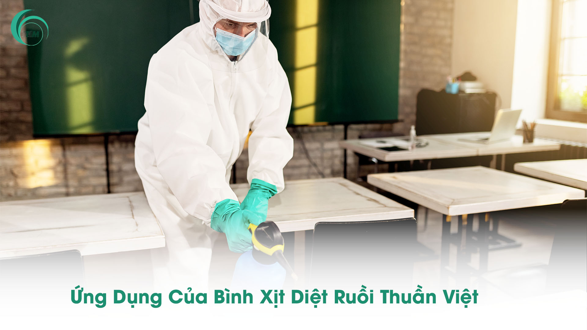 Ứng Dụng Của Bình Xịt Diệt Ruồi Thuần Việt