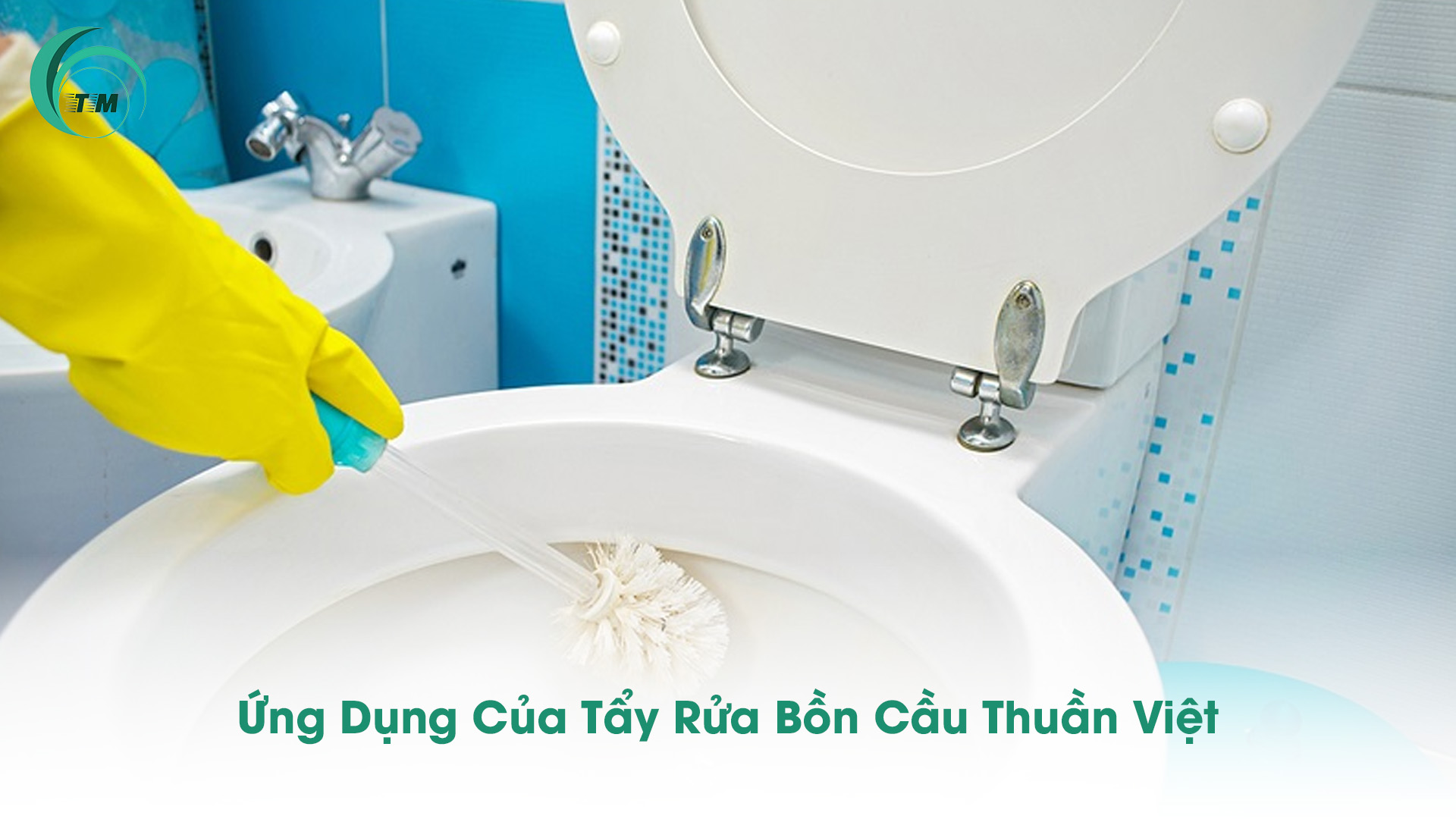 Ứng Dụng Của Tẩy Rửa Bồn Cầu Thuần Việt
